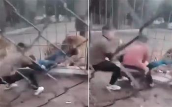 فيديو.. نمر يسحب طفل عراقي من فتحات قفص حديدي في حديقة حيوانات