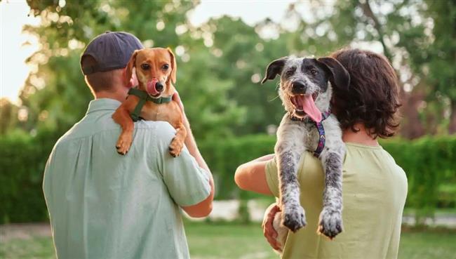 باحثون: العلاقة بين البشر والكلاب تمتد منذ 14000 عام