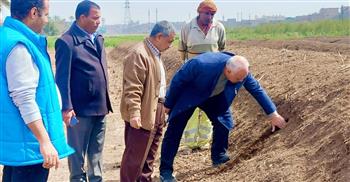 محافظ أسيوط يُشدد على المتابعة المستمرة للتخلص الآمن من المخلفات الزراعية وتعظيم الاستفادة منها