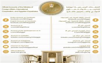 "الخارجية" تعلن منصاتها الرسمية وتكرس دبلوماسية رقمية أكثر انفتاحا