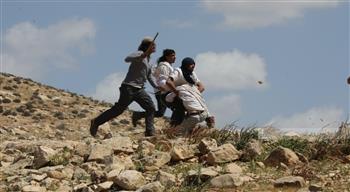 هيئة مقاومة الجدار الفلسطينية: المستوطنون نفذوا 443 اعتداءً خلال شهر من الحرب الدائرة