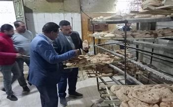 رئيس مركز جهينة بسوهاج يترأس حملة تموينية على المخابز وتحرير 16 محضر مخالفة