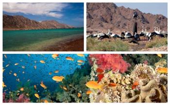   بعد طرحها للاستثمار والسياحة البيئية..  7 مليارات جنيه عائدات سنوية «متوقعة» من المحميات الطبيعية