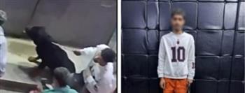 ضبط شخص اصطحب كلبًا لترهيب آخر في القاهرة  