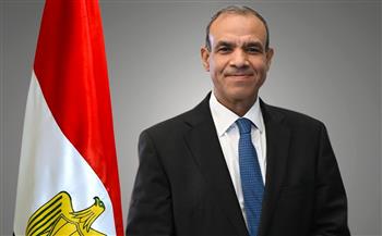وزير الخارجية يؤكد تضامن ووقوف مصر الكامل مع قطر وسائر الدول الخليجية الشقيقة