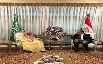 وزير الخارجية يبحث مع نظيره السعودي جهود التهدئة الإقليمية وتغليب المسار الدبلوماسي