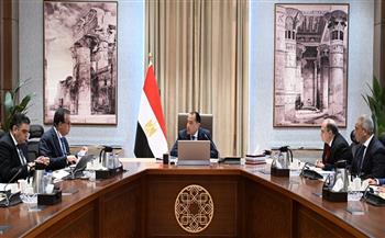 رئيس الوزراء يتابع موقف توافر المستحضرات الدوائية والخامات الفعالة بالسوق المصرية