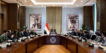 "مدبولي وكجوك" يستعرضان الإصلاحات التي يتم دراسة إدراجها ضمن الحزمة الثانية من مبادرة التسهيلات الضريبية