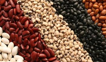 ماذا يحدث لجسمك حال تناول الفاصوليا يوميًا؟.. خبراء التغذية يجيبون