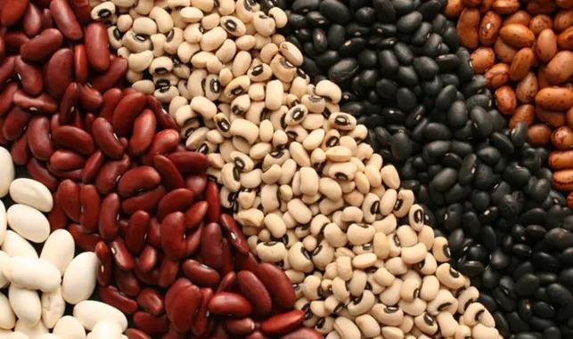 ماذا يحدث لجسمك حال تناول الفاصوليا يوميًا؟.. خبراء التغذية يجيبون