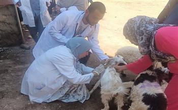 طب بيطري سوهاج تواصل إطلاق قوافلها الطبية وتعالج 980 حيوانًا في المدمر