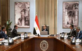 رئيس الوزراء يتابع الاستعدادات الجارية للموسم الحالي لتوريد القمح المحلي