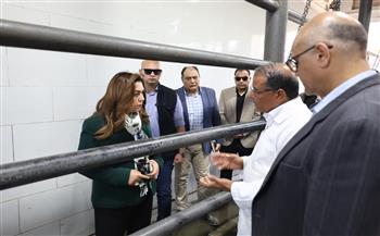 جولة وزيرة التنمية المحلية تكشف تحديات مجزر العامرية.. أكبر مجازر الإسكندرية بطاقة 35 ألف رأس سنويًا