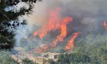 الولايات المتحدة تُسقط 2000 رطل قنابل على مستودع ذخيرة إيراني.. وترامب ينشر الفيديو