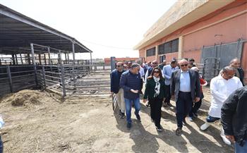 وزيرة التنمية المحلية توجه بحل جذري لمشكلات مجزر العامرية ورفع كفاءته لضمان التشغيل المستدام