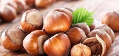 البندق يقاوم الزهايمر والإكتئاب