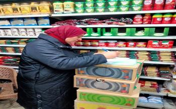 حملة تفتيشية مكثفة على المحلات والمطاعم بالغردقة لضبط الأسواق وحماية صحة المواطنين