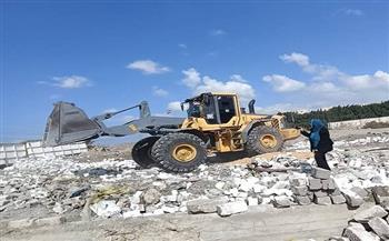 إزالة تعديات على أراضي الدولة وبناء عشوائي مخالف بالإسكندرية