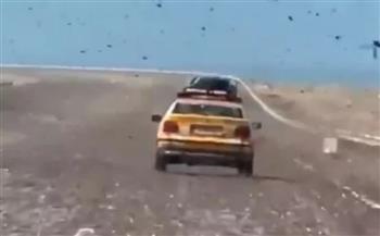 حجبت السماء.. أسراب الجراد تجتاح المغرب بعد أمطار استثنائية (فيديو)