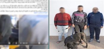 ضبط المتهمين بالاعتداء على سيدة باستخدام كلب في الإسكندرية