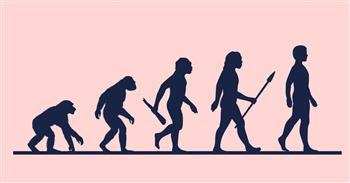 أسنان عمرها 65 مليون عام تثير الجدل بشأن أصول البشر