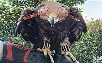 وزيرة التنمية المحلية والبيئة تعلن ضبط أنواعا برية مهددة بالانقراض بسوق الجمعة وتوجه بنقلها للمحميات