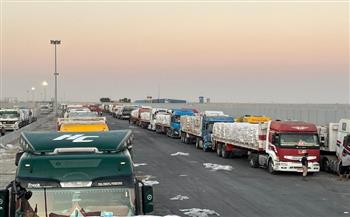 الهلال الأحمر المصري يدفع بأكثر من 86 ألف سلة غذائية ومساعدات شتوية عبر قافلة "زاد العزة" الـ151