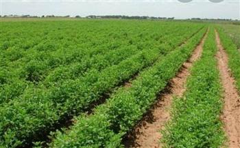 "العليا لاسترداد أراضي الدولة": 91 ألف طلب تقنين على المنصة الوطنية حتى الآن