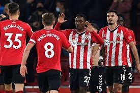 كأس الاتحاد الإنجليزي.. ساوثهامبتون يفوز على فولهام بهدف مثير