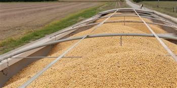 أسعار المحاصيل الأساسية ترتفع مع اضطراب الإمدادات بفعل الحرب على إيران