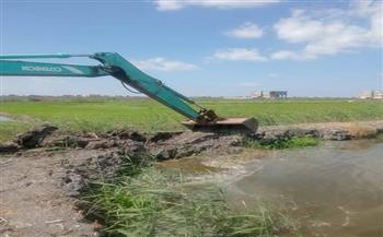 حملات مكثفة بأحياء بورسعيد لإزالة التعديات وتطوير الشوارع وتشديد الرقابة