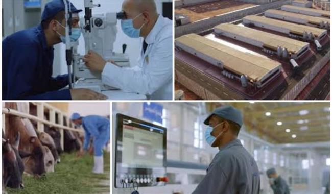 مراكز الإصلاح الحديثة.. بيئة إنسانية وبرامج تأهيل متطورة