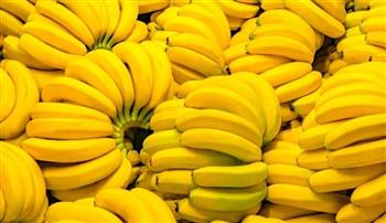 38 ألف ثمرة.. خطأ شحن يغرق جزيرة في الموز