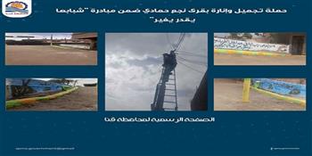 حملة تجميل وإنارة بقرى نجع حمادي بقنا ضمن مبادرة شبابها يقدر يغير