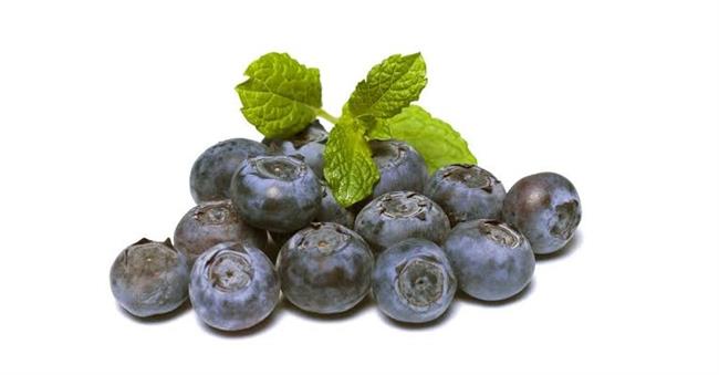 كيف يؤثر التوت الأزرق على الأمعاء