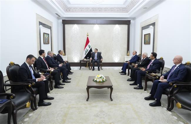 رسالة شفهية من الرئيس السيسي إلى رئيس الوزراء العراقي ينقلها وزير الخارجية   