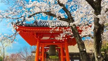 6 أفكار يابانية بسيطة تساعدك على تهدئة العقل من التفكير والتشتت