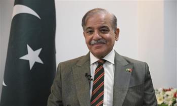 باكستان والنمسا تؤكدان أهمية التزام جميع الأطراف بوقف إطلاق النار