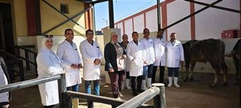 في العيد القومي للمحافظة.. بدء التشغيل التجريبي لأول مجزر نصف آلي بسوهاج