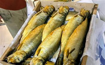 تموين الشرقية يضبط( ١٢٥ ) كيلو أسماك مدخنه وطن ونصف "دقيق وردة" و١٠ آلاف لتر مواد بترولية