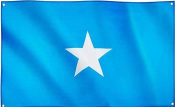 الرئيس الصومالي يبحث مع وزير الطاقة التركي تعزيز التعاون المشترك 