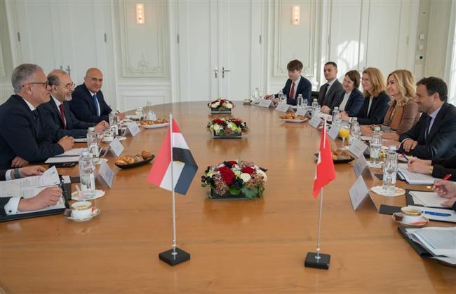 برن تستضيف جولة المشاورات السياسية بين مصر وسويسرا