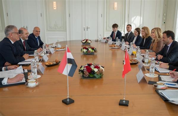 برن تستضيف جولة المشاورات السياسية بين مصر وسويسرا 