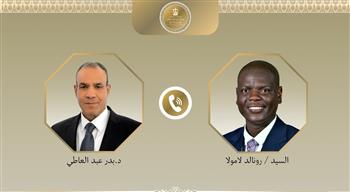 وزير الخارجية ونظيره الجنوب إفريقي يبحثان هاتفيًا التطورات الإقليمية