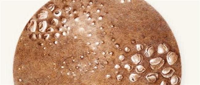 صلاح المليجى يعرض ثلاثون وجها للقمر 