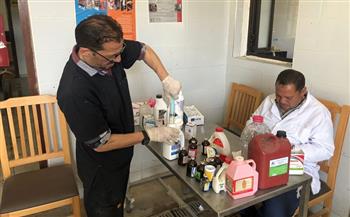 تداول 31 سفينة حاويات وبضائع عامة بميناء دمياط