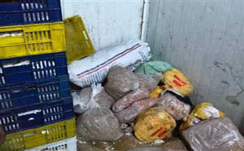 محافظ الجيزة يتابع استعدادات مديرية الطب البيطري لاستقبال عيد القيامة المجيد وشم النسيم