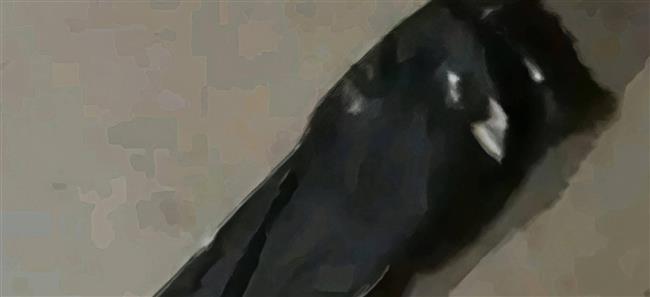 "خلوا بالكم من ولادي".. آخر ما كتبته بسنت سليمان قبل إنهاء حياتها قفزا من الطابق الـ13 