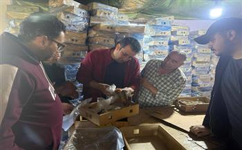 "الزراعة": ضبط 71 طنًا من الأسماك المملحة والمدخنة غير الصالحة في حملات استباقية قبل شم النسيم