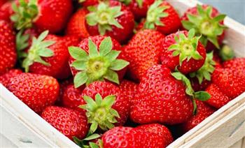 أطعمة غنية بالألياف احرصي على تخزينها هذا الربيع.. منها الفراولة